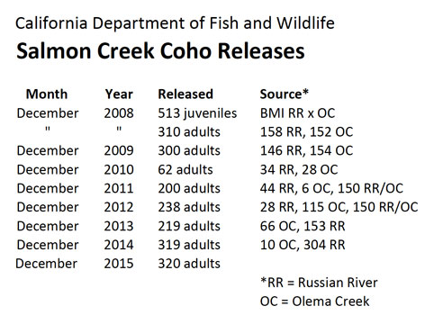 Salmon Creek coho releases, 2008 - 2015